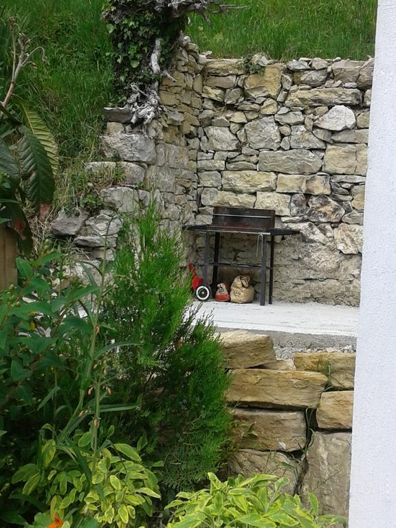 Apartment Bella Vista 2 Buzet Exterior foto